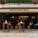 The Mulberry Bush